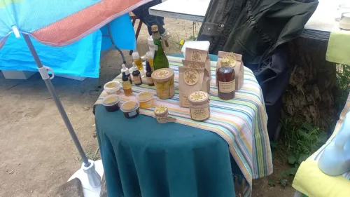 Parada de la Flor de la Tomaca